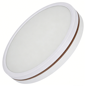 Vervangbare E27/E26/E22 AC85-265V 24W/36W/48W Plastic Tri-Proof Moderne Binnenplafondlamp - Product Image 5