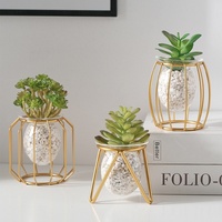 Vase hydroponique de luxe léger doré, écologique, créatif, pour la maison et le bureau, conteneur pour plantes aquatiques, décoration moderne en verre pour table