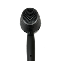 Sèche-cheveux haute puissance à moteur AC, fonction air froid, 2 vitesses de chaleur, boîtier PA66, couleur personnalisée