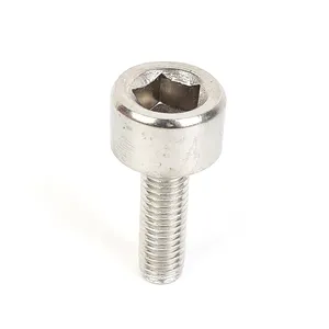 DIN912 Customized Stainless Steel Allen Cheese Head Penta 5 Sided Tamper Proof Security Screw With Pin