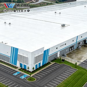 Edificio de Estructura de Acero Personalizado para Aplicaciones de Fabricación Automotriz - Product Image 1