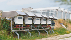 Inverter Solare Ibrido Trifase/Monofase Intelligente a Doppia Uscita 8KW 10KW 15KW Connesso alla Rete - Product Image 4