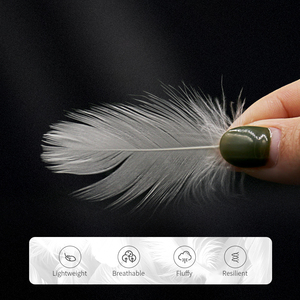 Bán Buôn Chúng Tôi Đứng Trắng Vịt Lông Trám Rửa Sạch Vịt Xuống Cho Xuống Gối Giá Rẻ Số Lượng Lớn Nguyên Điền Chất Lượng Cao Lông - Product Image 3