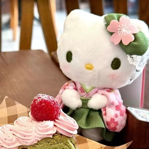 Autentico per <span class=keywords><strong>HelloKitty</strong></span> Kyoto Matcha fiore di ciliegio in edizione limitata portachiavi cane ciondolo bambola Super morbido materiale di peluche - Product Image 2