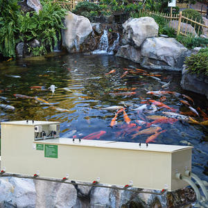 Оборудование для фильтрации ландшафтных рыбных бассейнов Qlozone, био-Ультрафиолетовый барабанный фильтр, многокамерные системы фильтров для рыбных прудов кои - Product Image 1