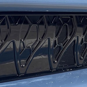 Accesorios exteriores <span class=keywords><strong>de</strong></span> fibra <span class=keywords><strong>de</strong></span> carbono ABS para coche OEM para 2025 IM LS6 rejilla delantera mosquitera - Product Image 5