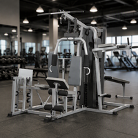 Équipement de musculation multifonctionnel, station multi-usage 3 postes, machine de musculation multi-stations avec pile de poids de 100 kg