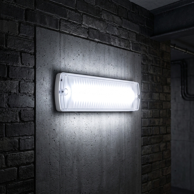 Emergency Exit Sign Light IP65 Waterproof Lithium-Ion Battery Backup LED Bulkhead Light 3 Hours Emergency Lighting for