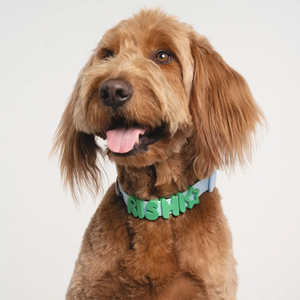 <span class=keywords><strong>Collar</strong></span> de silicona de PVC impermeable con logo personalizado al por mayor, <span class=keywords><strong>collar</strong></span> de goma DIY para mascotas, dijes de diseño coloridos para paseos diarios y días lluviosos - Product Image 5