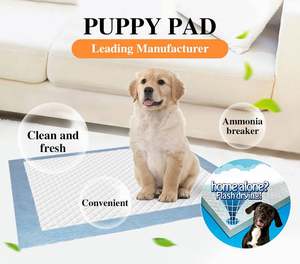 Empapadores Desechables Pequeños y Sostenibles para Mascotas con Material de Pulpa de Celulosa y Súper Absorción - Product Image 5