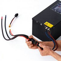Batterie au lithium pour véhicule électrique CATL, protection contre les insectes, 72v60v 120AH, ternaire, pour vélos/scooters électriques 1500