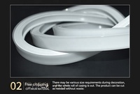10x10 12x12 20x14 20x20 néon sans fond avec couvercle avec boîtier masque en silicone ouverture sans usure profil led en silicone