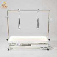 EUR Table de toilettage électrique lumineuse pour animaux de compagnie Design carré simple pour douche et soins d'animaux de compagnie Instrument vétérinaire