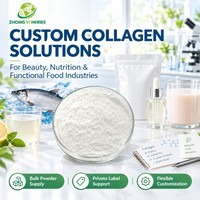 Poudre de collagène de poisson naturel, pur et hydrolysé, pour usage cosmétique