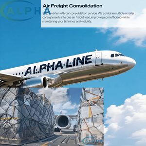 شحن جوي سريع من الصين إلى ليبيا عبر وكيل شحن جوي مع خدمات التخزين والتأمين والتوصيل (EXW, FCA, FOB, DDP, DAP, FBA) - Product Image 3