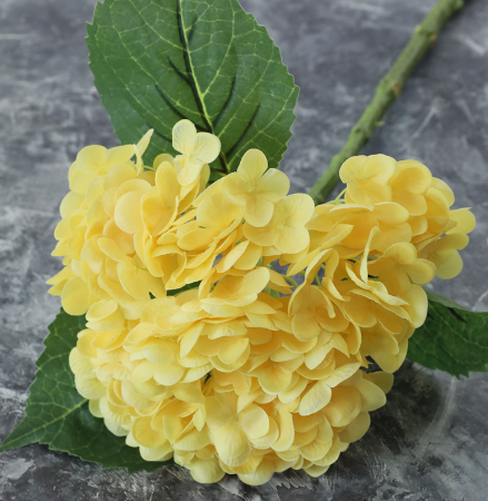 Jaune