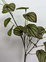 Plante artificielle Pothos à tige unique, 5 branches, 29 feuilles, fausse verdure pour vase d'intérieur, décoration maison