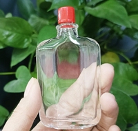 Huiles Essentielles Actives de Qualité Supérieure en Gros – Bouteille en Verre Transparente avec Bouchon à Vis pour Massage Chinois – Fond Épais Portable