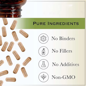 Extracto de <span class=keywords><strong>cardo</strong></span> mariano orgánico de grado alimenticio puro silimarina 30% 80% polvo de <span class=keywords><strong>cardo</strong></span> sagrado etanol soluble en agua hierba Nutrtech Xianan - Product Image 3