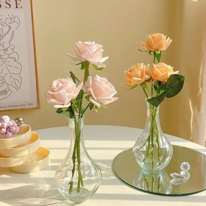 <span class=keywords><strong>Vase</strong></span> en verre classique minimaliste pour la maison, <span class=keywords><strong>vase</strong></span> <span class=keywords><strong>hydroponique</strong></span> pour plantes et fleurs, exquis et durable, très vendu - Product Image 1