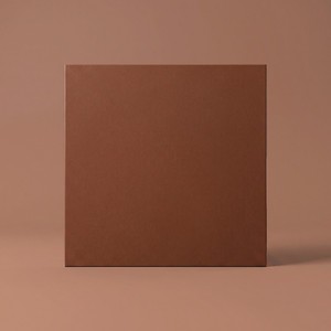 Piastrella in Terracotta Quebec 9,5x9,5 Cm Finitura Opaca Bordi Microbisellati Spessore 8 Mm - Product Image 1