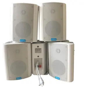 Zwart-Witte Muur Speaker Ingebouwde Power Versterker En Ip Audio Speler Software Uitgangsvermogen 20-80W