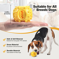 Jouet à mâcher pour chien, jouet à mâcher pour nettoyer les dents, petit jouet rond en caoutchouc TPR