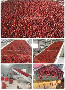Chaîne de production complète pour le lavage, le séchage et l'emballage des piments en tranches, équipement de déshydratation des piments rouges - Product Image 6