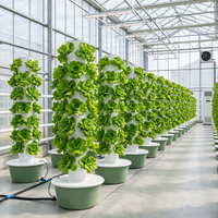 Tour hydroponique commerciale stabilisée aux UV, sur mesure, pour l'agriculture verticale avec système d'irrigation automatique