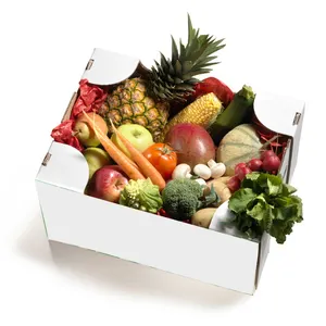 Eco Friendly Corrugated Cardboard Shipping Carton Box for Vegetables Frozen Food Packaging