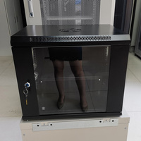 Armoire de serveur réseau murale en acier 9U de 19 pouces avec porte en verre personnalisée pour salle informatique