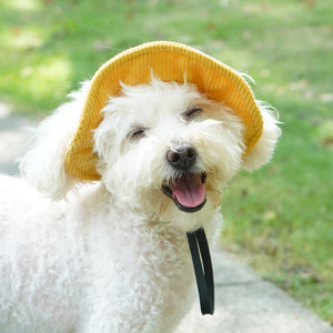 Chongtapet Gorro tipo pescador monocromático con protección solar para perros pequeños, estilo moderno de verano - Product Image 1