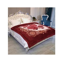 Hot Selling 100% Polyester Custom Nerz Bettwäsche Set Neues Design Modische Muster Raschel Decke 2-7kg Abdeckung