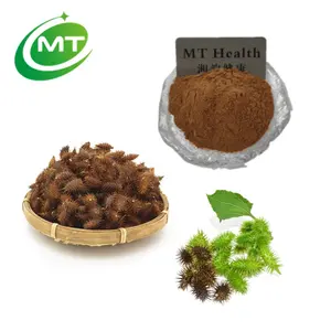 Natural herb Xanthium strumarium Extract large cocklebur powder common cocklebur Extract