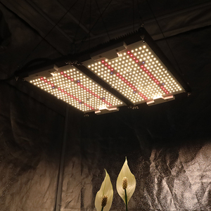 Kingbrite 240W Samsung LM301H Board Mix epistar rojo profundo 660nm UV IR SF2000 LED Grow Light - Product Image 6