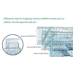 Métal sans cruauté grand vivant sauvage coyote <span class=keywords><strong>écureuil</strong></span> lapin raton laveur chien Cage piège <span class=keywords><strong>renard</strong></span> Animal piège chat sauvage piège Cages à vendre - Product Image 6