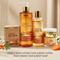Sérum Visage Bio OEM au Collagène, Arbutine et Vitamine C, Éclaircissant, Anti-Âge, Hydratant et Rajeunissant, Gel Facial, Kit de Soins de la Peau