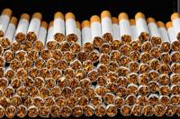 Meilleure machine électrique entièrement automatique de remplissage et de roulage de cigarettes RYO/MYO, capacité de 10 000 cartouches par heure, pour usage en usine de fabrication SIGMA