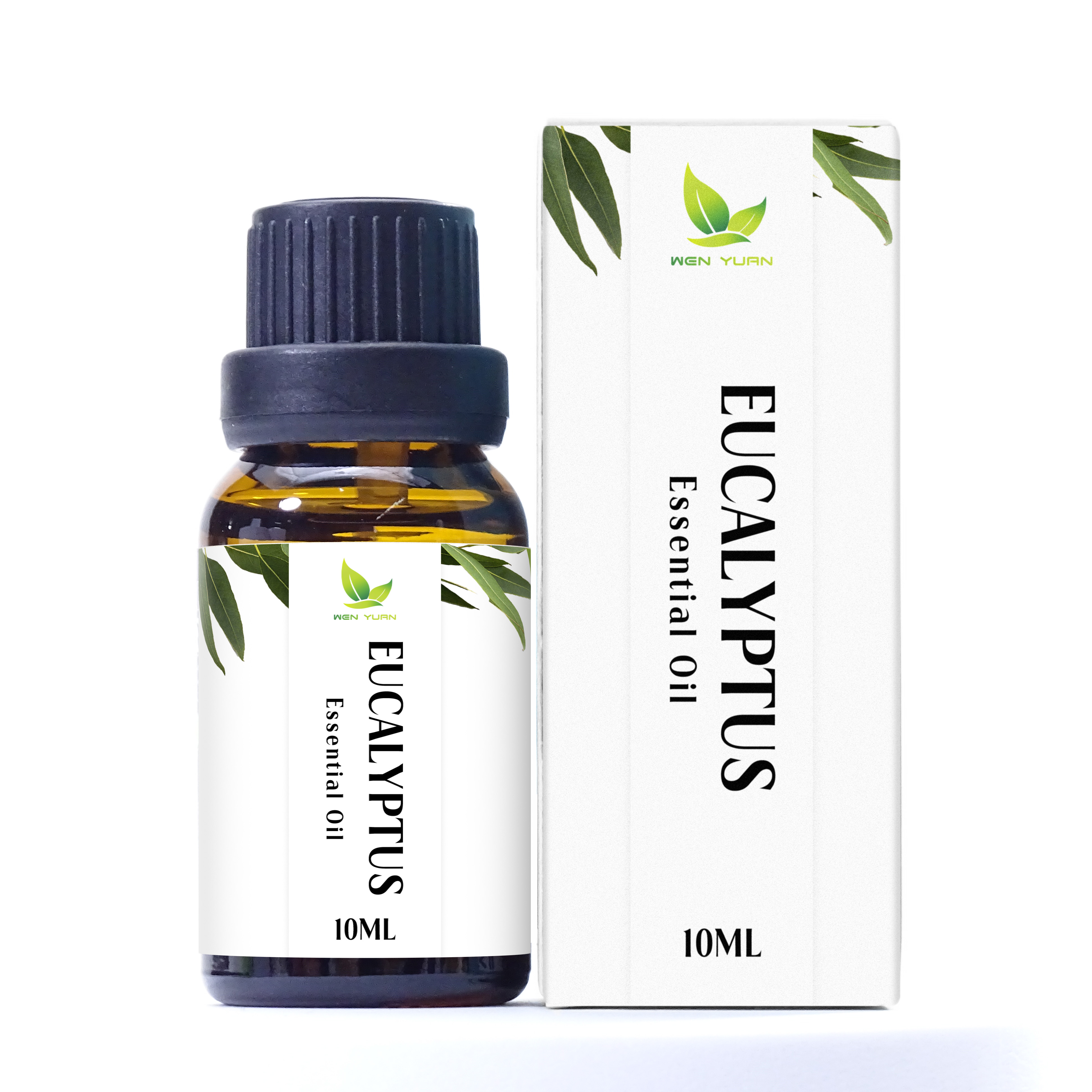Eucalipto