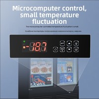 Vitrine réfrigérée verticale SUMYO LXG-750 à porte vitrée, 1 porte, couleur personnalisable, dégivrage automatique – Meilleures ventes