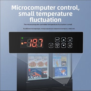 Enfriador Vertical de Bebidas con Puerta de Vidrio y LED <span class=keywords><strong>SUMYO</strong></span> LXG-750, 1 Puerta, Color Personalizable, Descongelación Automática - Product Image 4