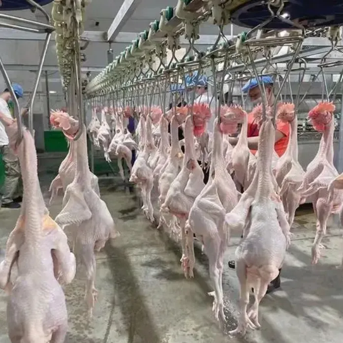 鶏肉機械生産ライン全自動大型小型500個1000個アヒル鶏ガチョウ食肉処理