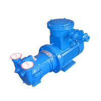 Pompe à vide à anneau liquide 2BV avec pompe de filtration sous vide à anneau d'eau du moteur du compresseur en Chine