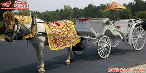 Costume de cheval traditionnel indien pour l'entrée du marié lors du Baraat, en velours, design léger - Product Image 4