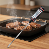 Termometer Dapur Digital Plastik Tahan Air Bertenaga Baterai dengan Rentang -50-300C untuk BBQ dan Penggunaan Daging Rumah Tangga