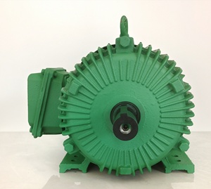 Moteur à induction triphasé de qualité supérieure, à rendement optimal, faible coût d'entretien, fourni directement par l'usine de moteurs. - Product Image 5