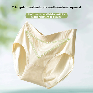 Culottes Femme Effet Seconde Peau Sans Coutures en Acide Polylactique, Antibactériennes, Respirantes, Extensibles, Douces, Taille Moyenne, Coupe Triangle - Product Image 5