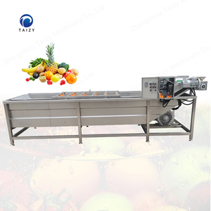 Tomato Fruit Washer Bubble Cleaning Vegetable And Fruit Washing Machine
