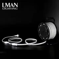Bande lumineuse LED AC220V, éclairage de chantier, éclairage de tunnel, éclairage extérieur, IP65 étanche, emballage en tambour portable