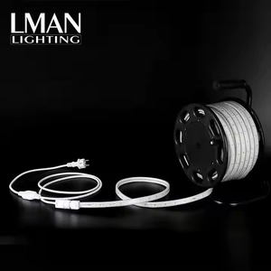 Bande lumineuse LED AC220V, éclairage de chantier, éclairage de tunnel, éclairage extérieur, IP65 étanche, emballage en tambour portable - Product Image 2